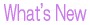 �X�V�L�^