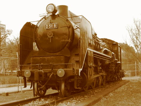 D51 8