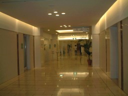 ������@�@�i�΁j