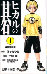 �q�J���̌��